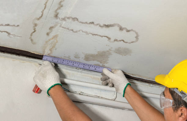 Affordable Water Damage Repair solutions in Okmulgee, OK